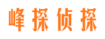 平阳市调查公司